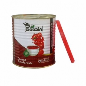 Canned Tomato Paste 